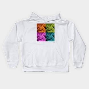 SPM Squirrel Kids Hoodie